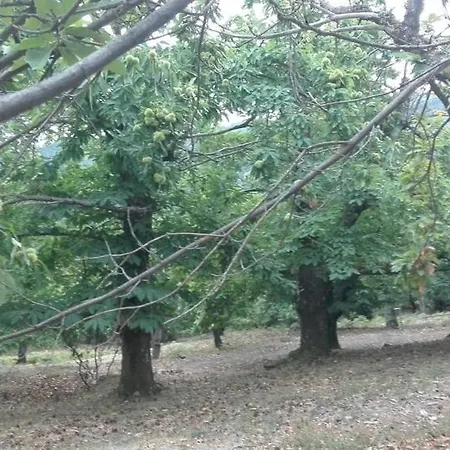 Apartamento Le De La Vallée *