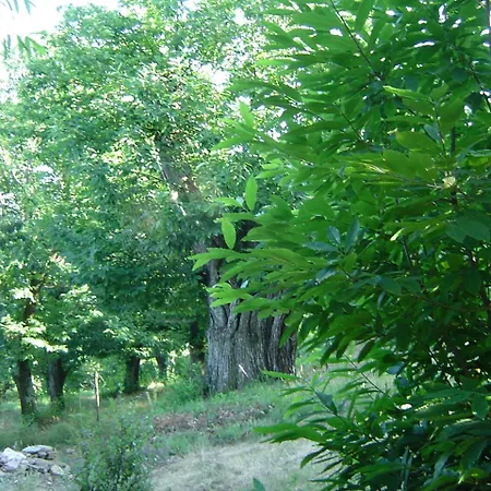 Le De La Vallée Apartamento