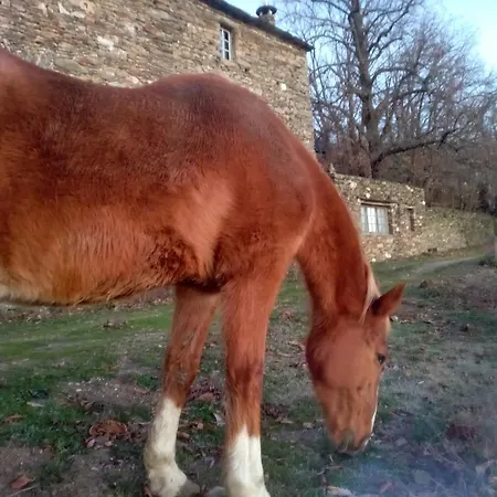 Appartamento Le De La Vallée